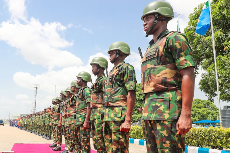 TSG Intelligence Program